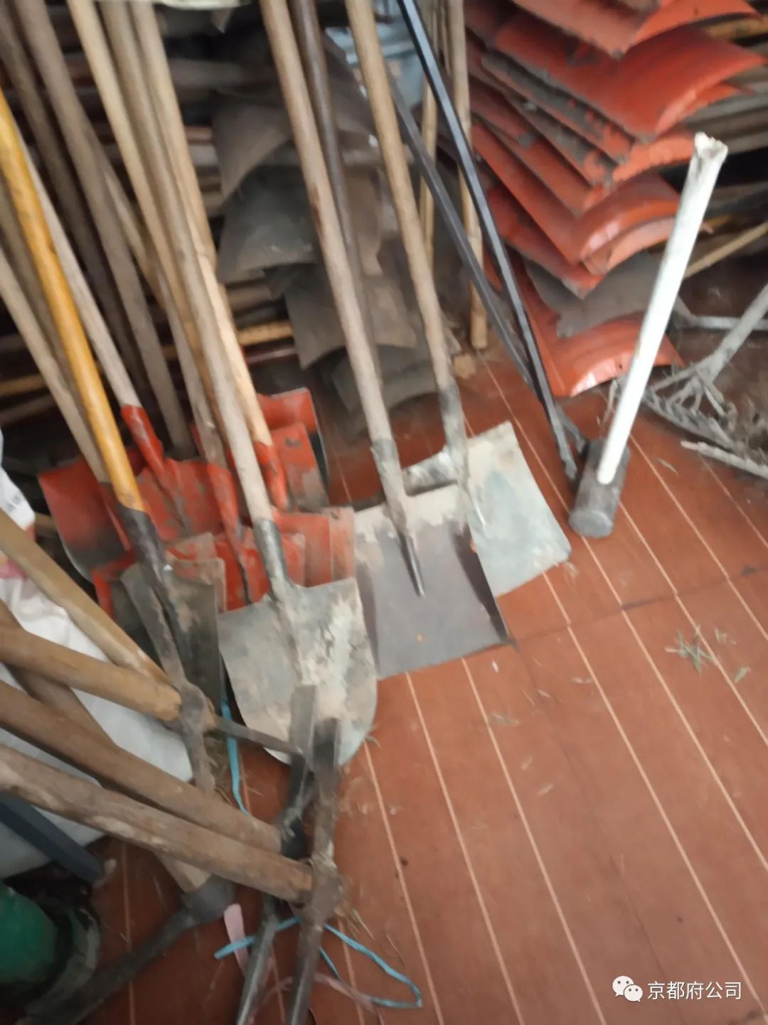 京都府駕校 京都府駕校