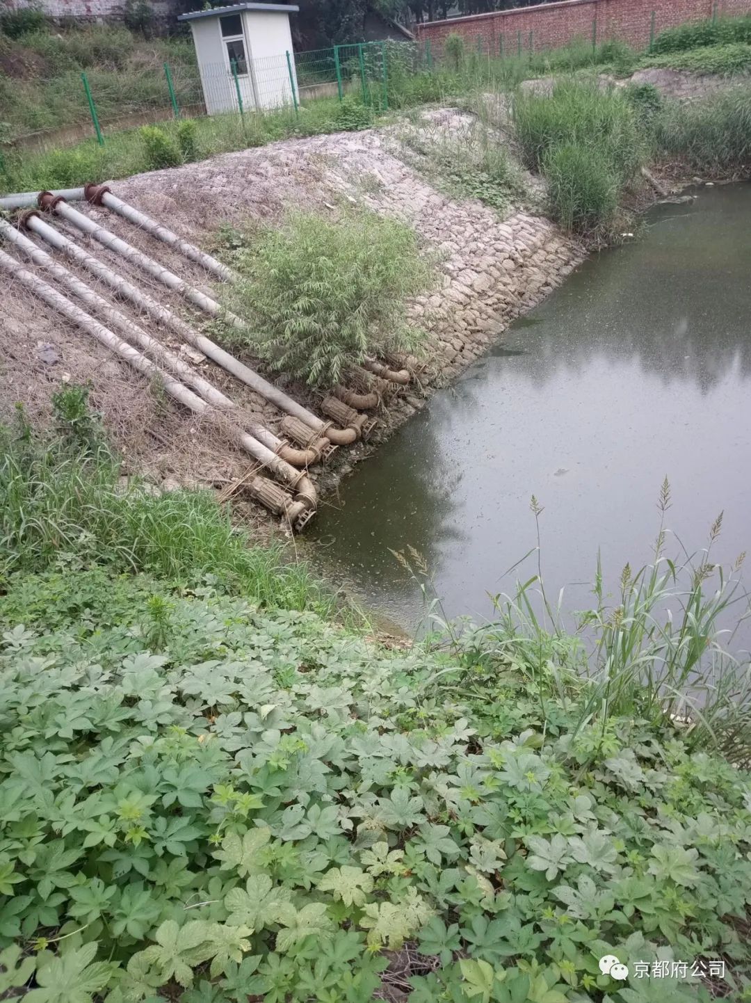 京都府駕校 京都府駕校