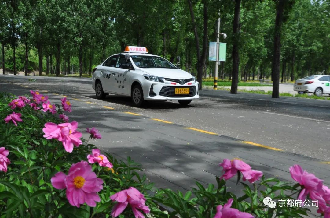 京都府駕校 京都府駕校