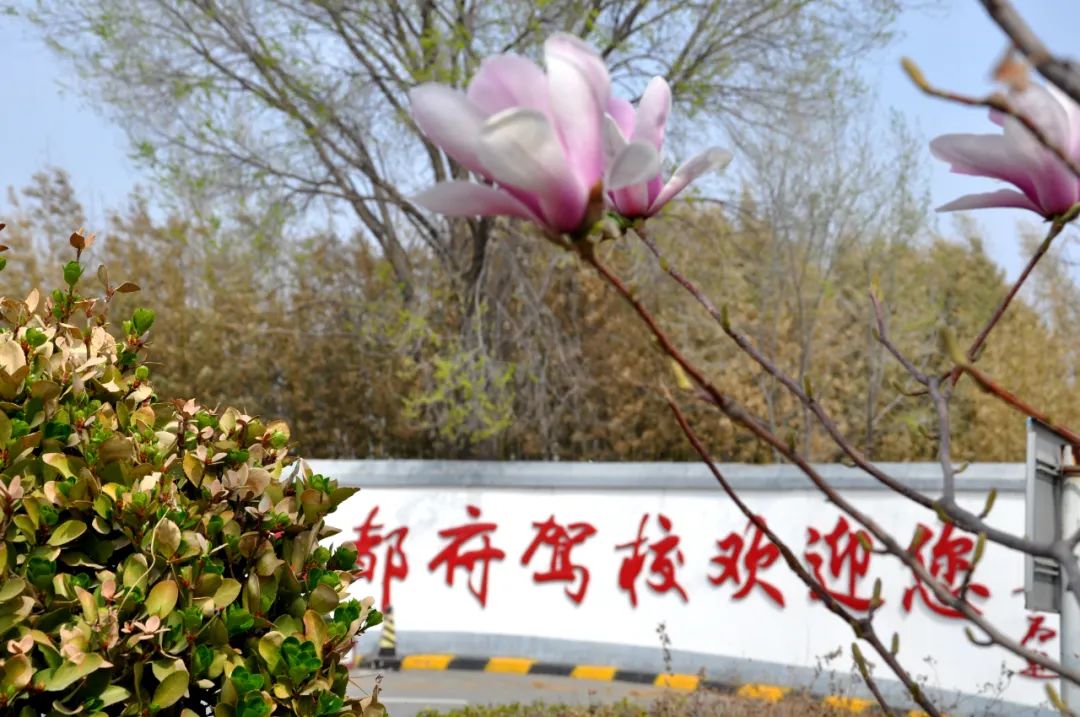 京都府駕校 京都府駕校