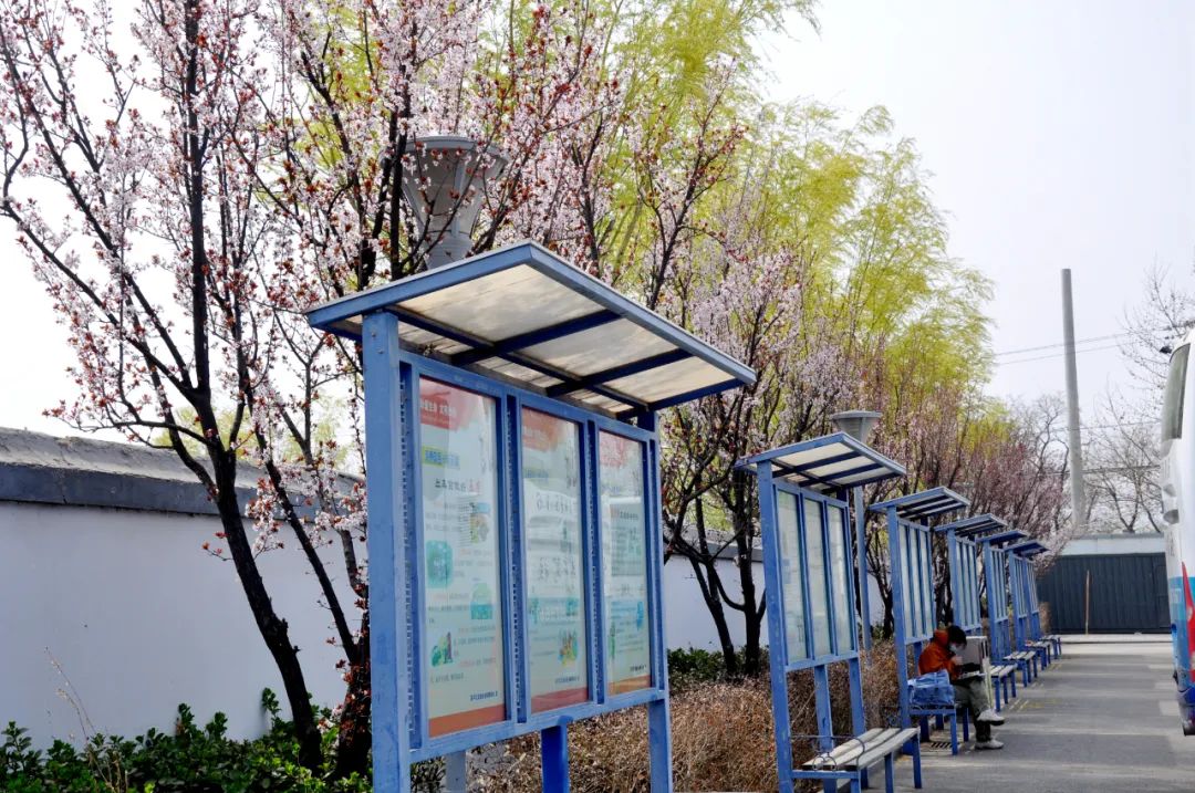 京都府駕校 京都府駕校