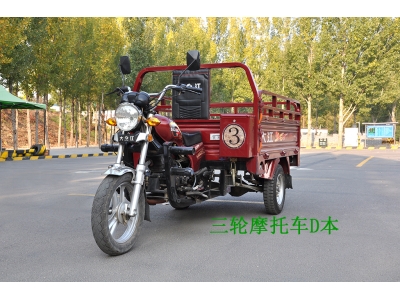 初學/增駕三輪摩托車駕照D本